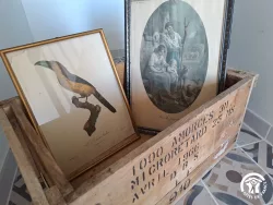Gravures d’oiseaux décoratives au Domaine des Hirondelles