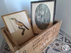 Gravures d’oiseaux décoratives au Domaine des Hirondelles