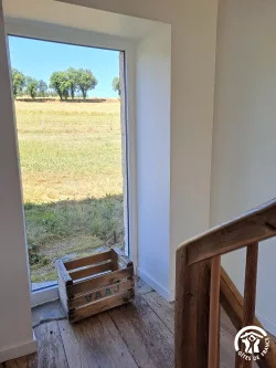 Vue sur la pelouse depuis une fenêtre au Domaine des Hirondelles