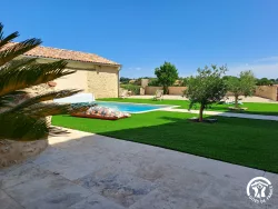 Piscine entourée de pelouse et d’un olivier au Domaine des Hirondelles