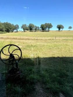 Roue en fer dans un champ au Domaine des Hirondelles